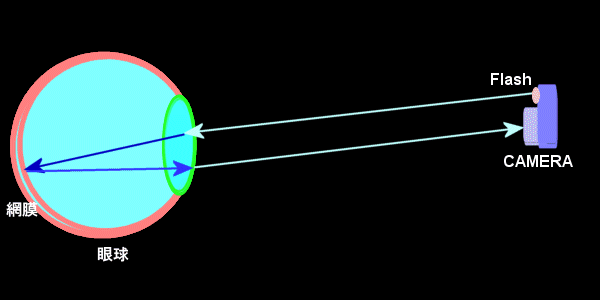 赤目現象の原理